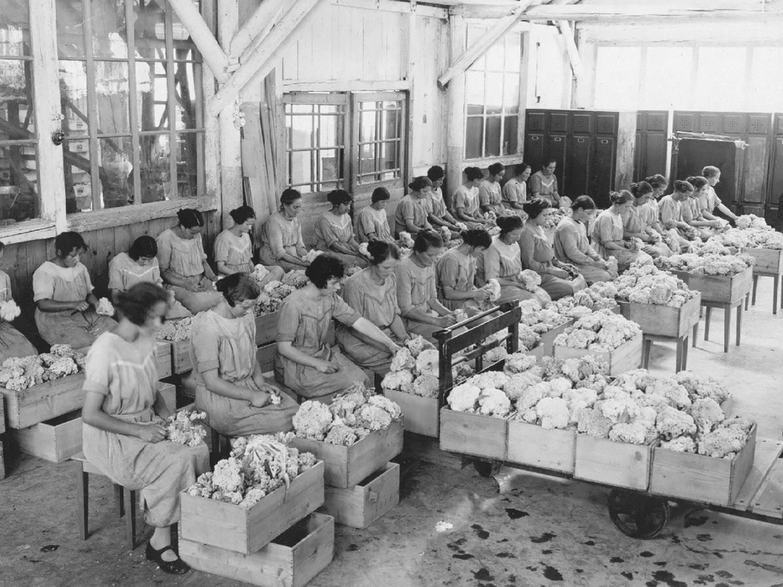 Zoom: Fabrikarbeiterinnen in ehemaliger Maggi-Fabrik, Fotografie von 1925.