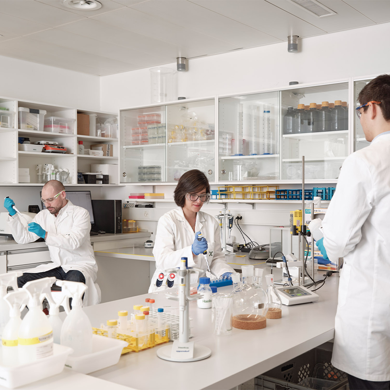 The Valley_Haelixa_Non-Profit-Organisation