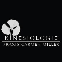 Dry Ice Car Cleaning