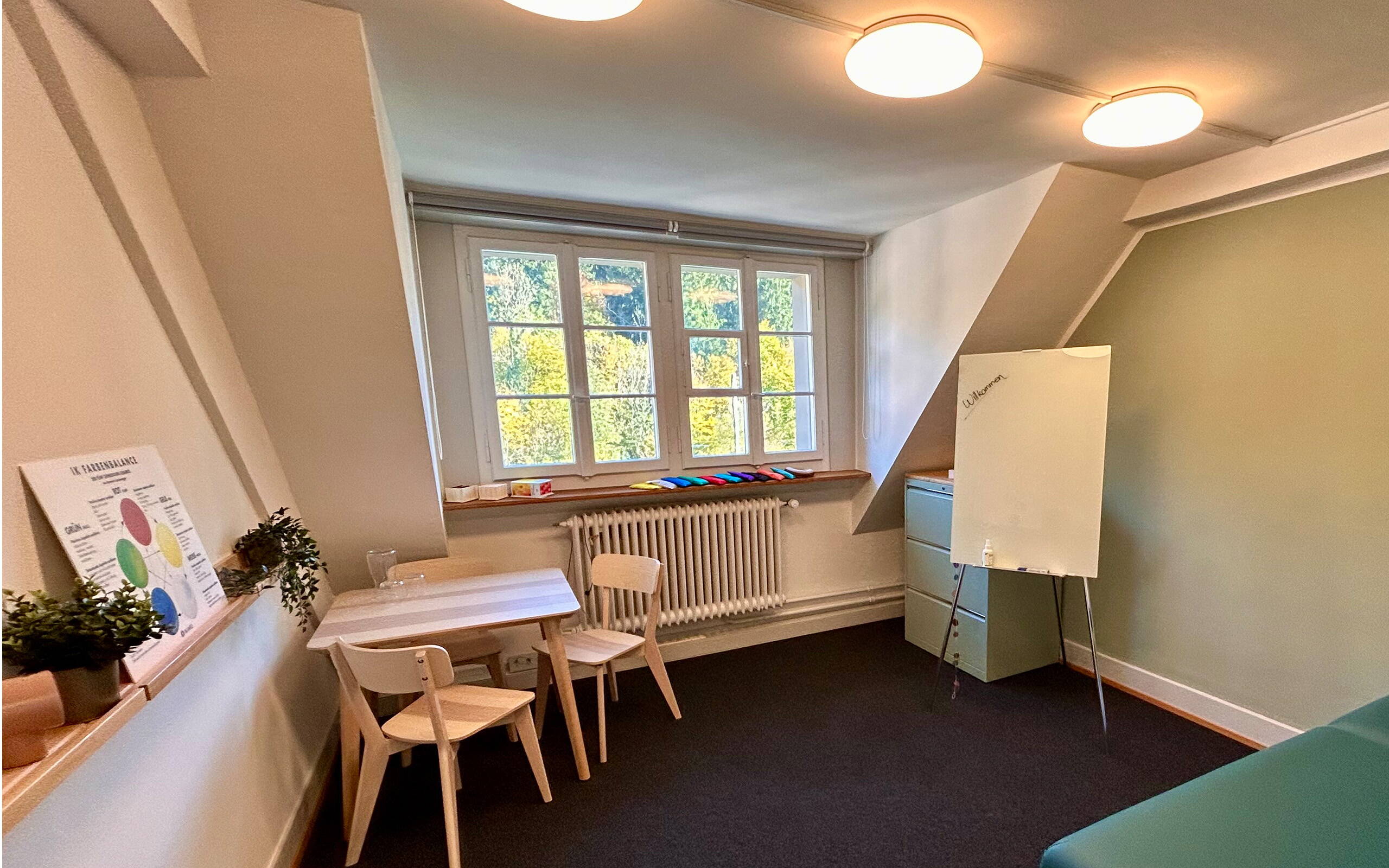 THE VALLEY_Carmen Miller